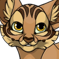 Tiger Head male mutation of Catus