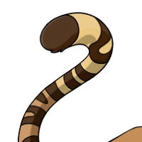 Tiger Tail female mutation of Catus