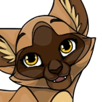 Siamese Head female mutation of Catus