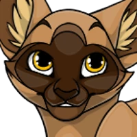 Siamese Head male mutation of Catus