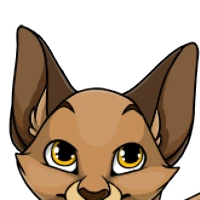 Siamese Ears male mutation of Catus