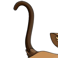 Siamese Tail female mutation of Catus