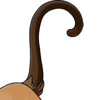 Siamese Tail male mutation of Catus