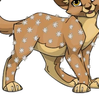 Cactus Body female mutation of undefined