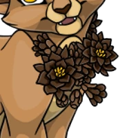 Cactus Chest female mutation of undefined