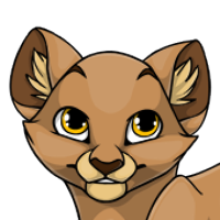 Lion Ears male mutation of Catus