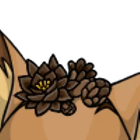 Cactus Forehead male mutation of undefined