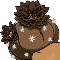 Cactus Tail female mutation of undefined