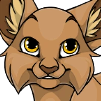 Solid Forest Cat Head male mutation of Catus