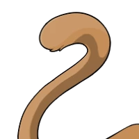 Solid Tiger Tail female mutation of Catus