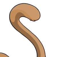 Solid Tiger Tail male mutation of Catus