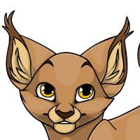 Lynx Ears male mutation of Catus