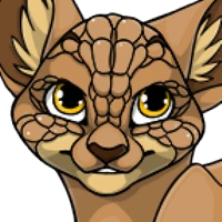 Snail Head male mutation of Catus