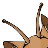 Snail Forehead female mutation of Catus