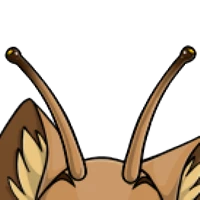 Snail Forehead male mutation of Catus