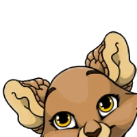 Snail Ears female mutation of Catus