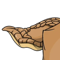 Snail Tail female mutation of Catus