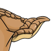 Snail Tail male mutation of Catus