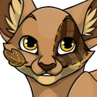 Plushie Head male mutation of undefined