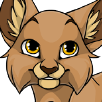 Forest Cat male mutation of Catus