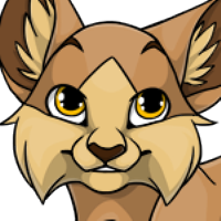 Bicolor Forest Cat male mutation of Catus