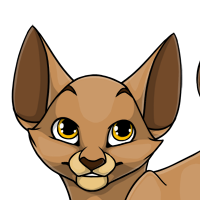 Oriental Ears male mutation of Catus