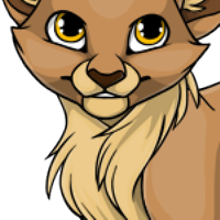 Chest Fluff male mutation of Catus