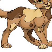 Calico Body female mutation of Catus