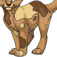 Calico Body male mutation of Catus