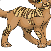 Mackerel Tabby Body female mutation of Catus