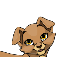 Folded Ears female mutation of Catus