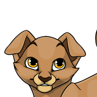 Folded Ears male mutation of Catus