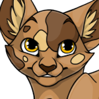 Calico Head male mutation of Catus