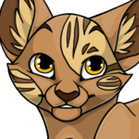 Mackerel Tabby Head male mutation of Catus