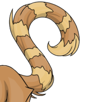 Lemur Tail male mutation of Catus