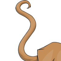 Whip Tail female mutation of Catus