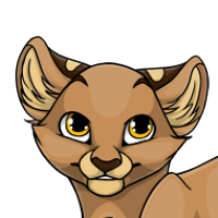 Snow Leopard Ears male mutation of undefined