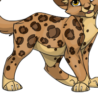 Snow Leopard Body female mutation of undefined