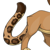 Snow Leopard Tail female mutation of undefined