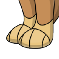 Snow Leopard Paws male mutation of undefined