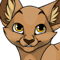 Solid Head male mutation of Catus