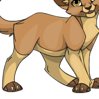 Stocking Body female mutation of Catus