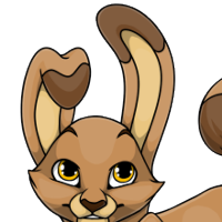 Tipped Bunny Ears male mutation of undefined