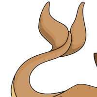 Dolphin Tail female mutation of Catus