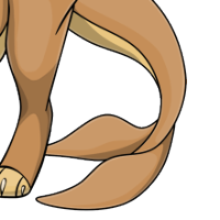 Dolphin Tail male mutation of Catus