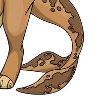 Marbled Dolphin Tail male mutation of Catus