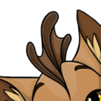 Sea Monster Mohawk female mutation of Catus