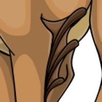 Leg Fins male mutation of Catus