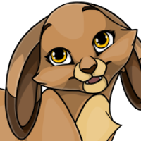 Tipped Lop Bunny Ears female mutation of undefined