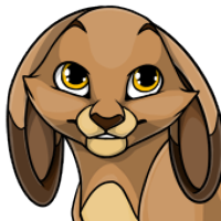 Tipped Lop Bunny Ears male mutation of undefined